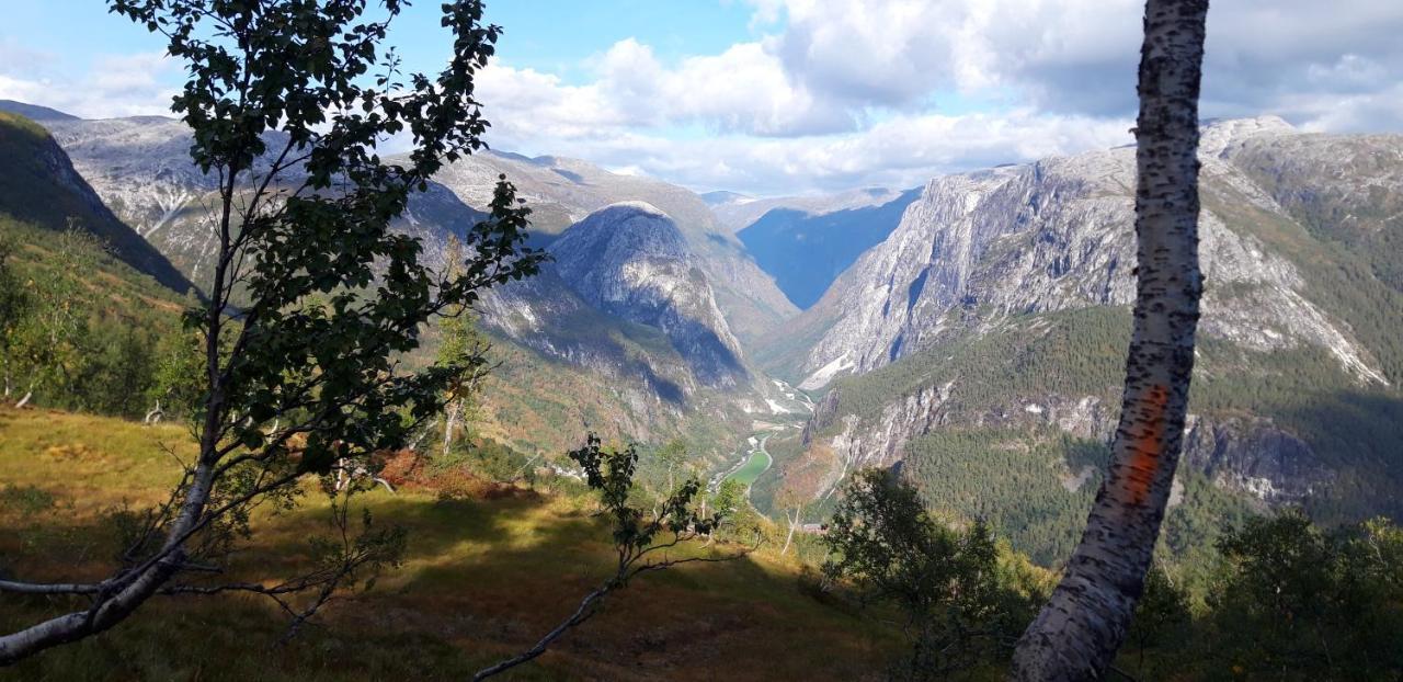 Stalheim Fjord Og Fjellhytter Ngoại thất bức ảnh