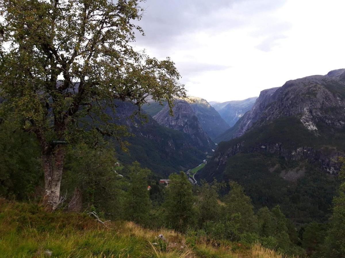 Stalheim Fjord Og Fjellhytter Ngoại thất bức ảnh
