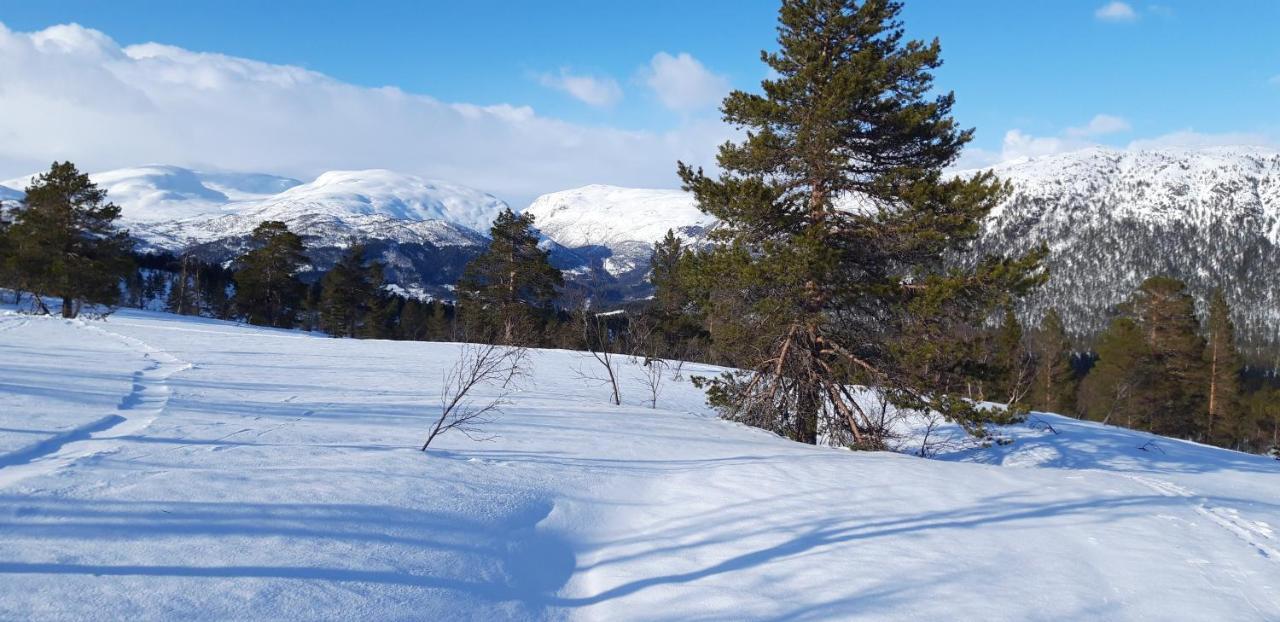 Stalheim Fjord Og Fjellhytter Ngoại thất bức ảnh