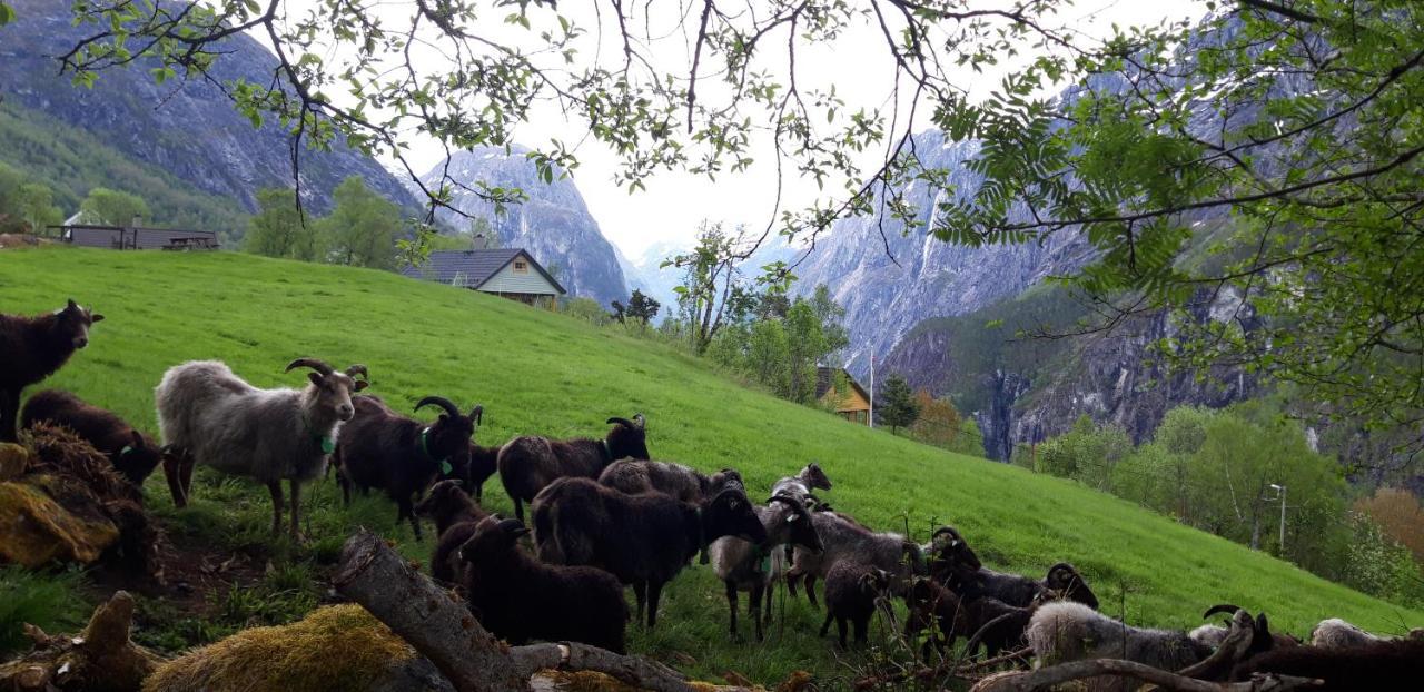 Stalheim Fjord Og Fjellhytter Ngoại thất bức ảnh