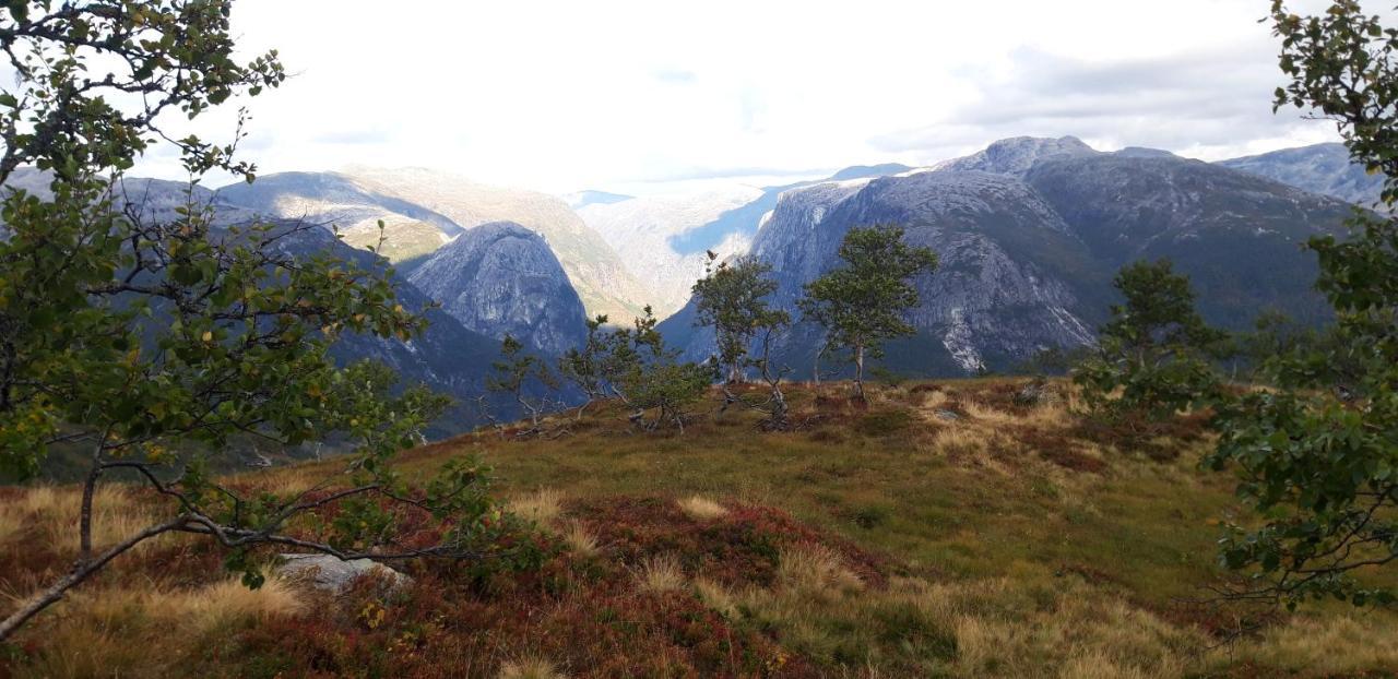 Stalheim Fjord Og Fjellhytter Ngoại thất bức ảnh