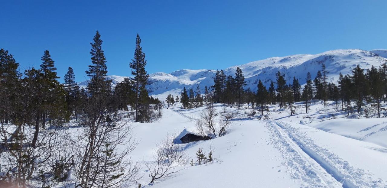 Stalheim Fjord Og Fjellhytter Ngoại thất bức ảnh
